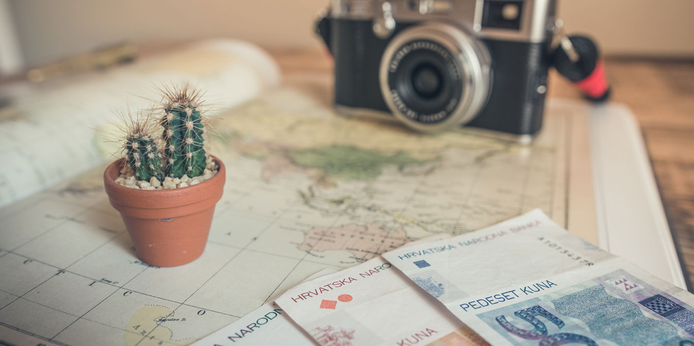 Camera, money, and a small cactus plant sit on top of a world map